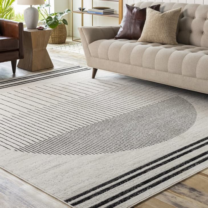 10 Best Rugs Under 100 Target, Wayfair, Overstock Apartment Therapy
