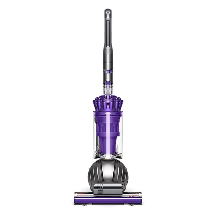 dyson ball vacuum bed bath beyond