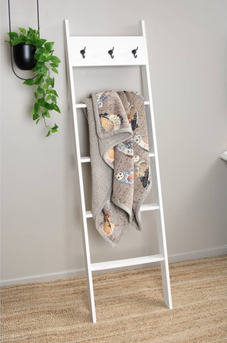 Overstock blanket ladder sales
