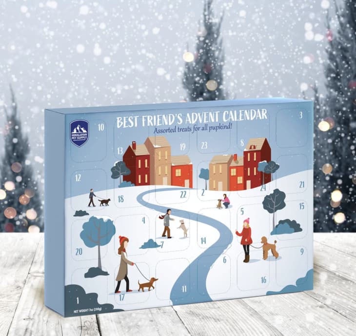 Best Pet Advent Calendars for Dogs and Cats Chewy 2022 Holiday Season