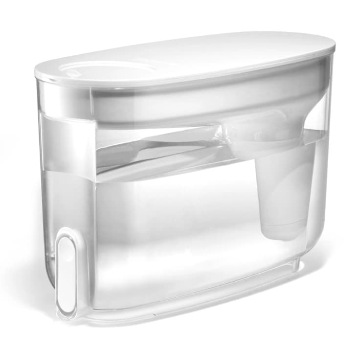 LifeStraw Dispenser Review 2023 The Kitchn