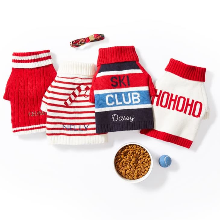 42 Best Gifts for Pets and Pet Parents 2023 Dogs, Cats, Pet Lovers