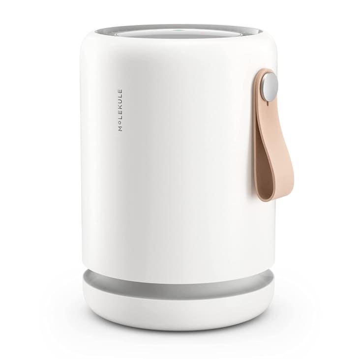 Molekule Air Purifier Sale on Air Mini+ for Small Spaces The Kitchn