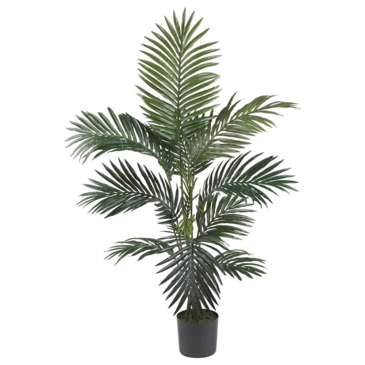 Best Places to Buy Fake Plants Online Apartment Therapy