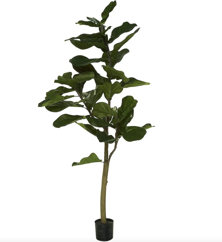QVC Faux Fiddle Leaf Tree Looks Just Like the Real Thing Apartment