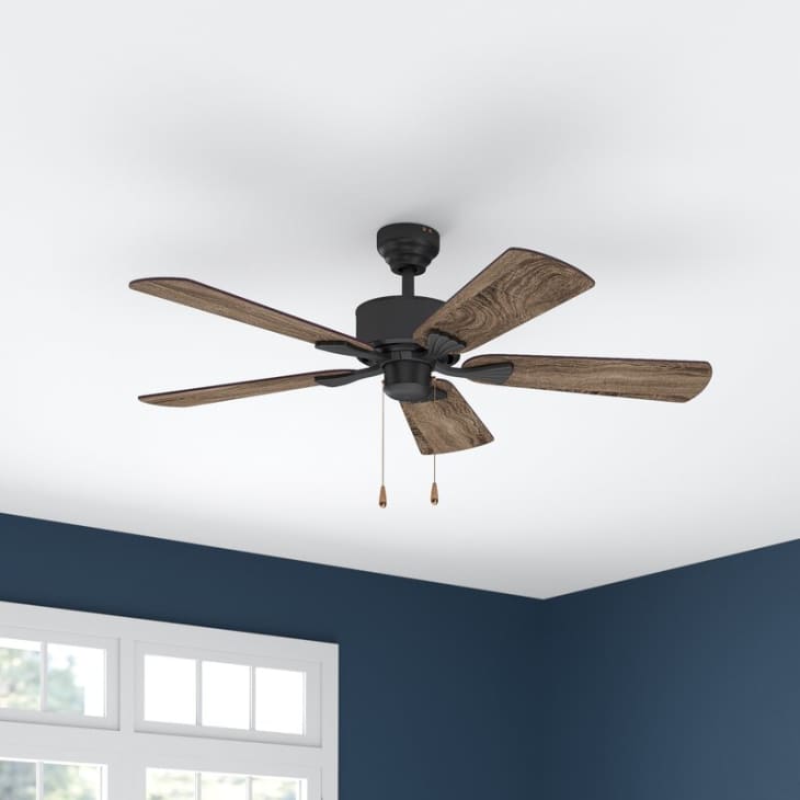 Unique Apartment Therapy Ceiling Fans for Large Space