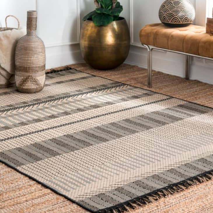  Apartment Therapy Area Rugs with Simple Decor