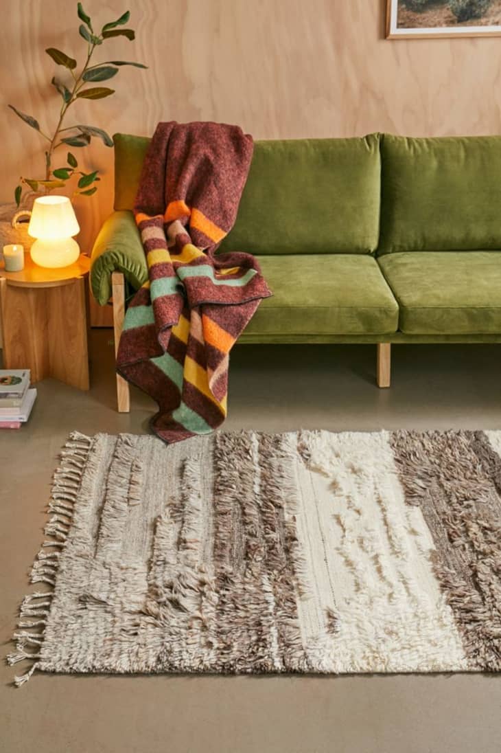 The Best, Softest Rugs of 2023 Wayfair, Ruggable, Rugs USA Apartment