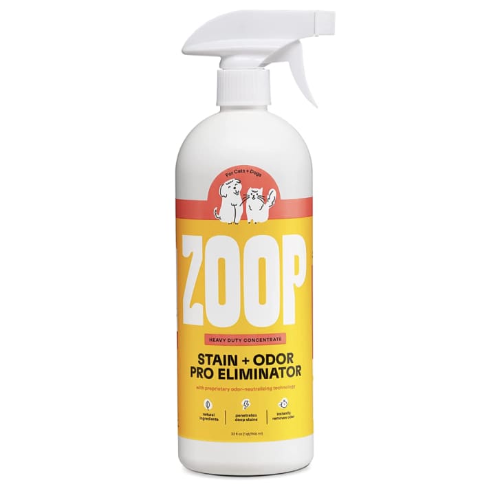 Why I Love the ZOOP Pro Pet Stain and Odor Eliminator Tried