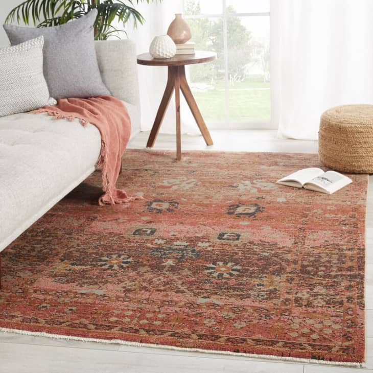 The Best Rugs for Dog Parents in 2024 — Plus What to Look For