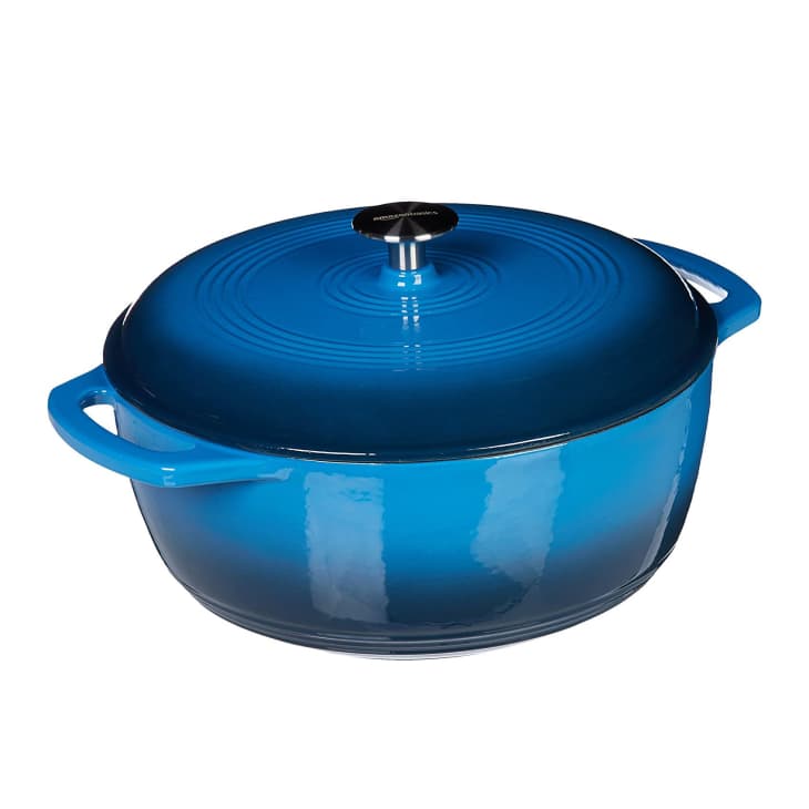 Amazon Basics Dutch Oven Review 2023 Best Cheap Dutch Oven The Kitchn
