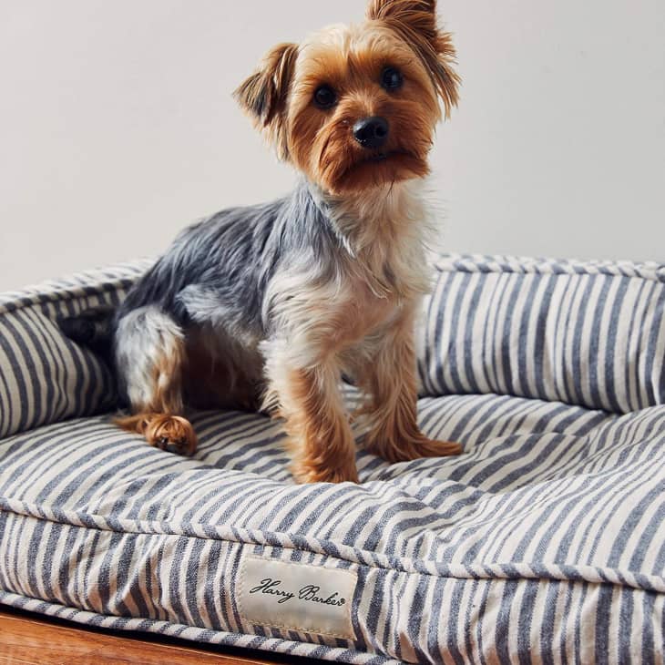The Best Stylish Dog Beds for 2023 Apartment Therapy