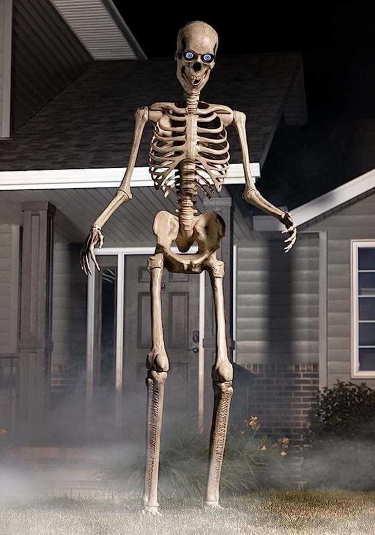 Giant home 2024 depot skeleton