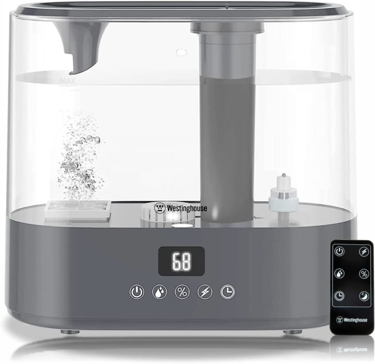 Apartment Therapy Editor Picks What to Buy This Week Apartment Therapy