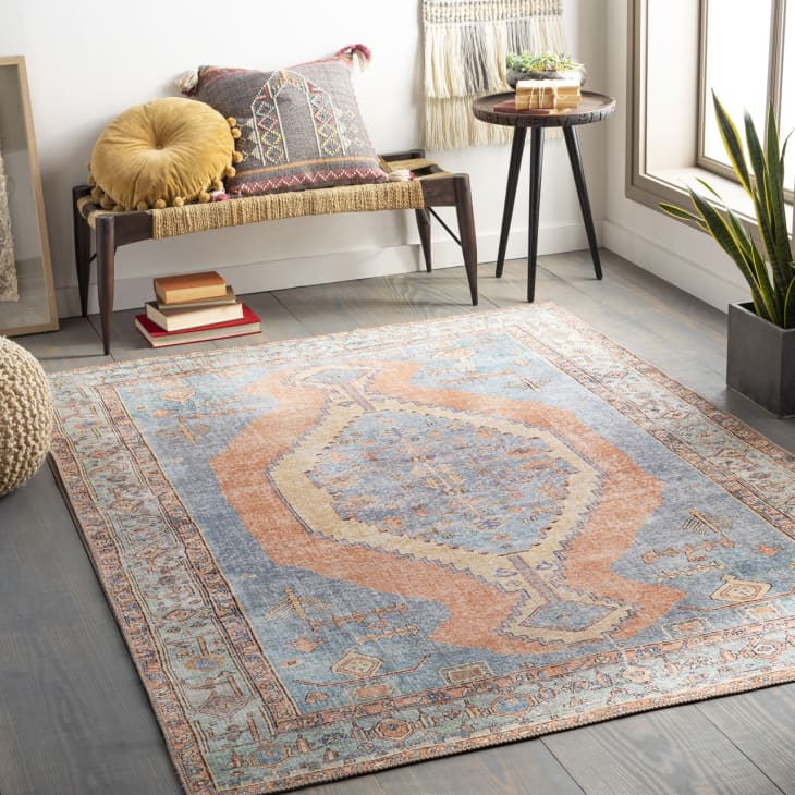 11 Best Places to Shop for MachineWashable Rugs 2022 Apartment Therapy