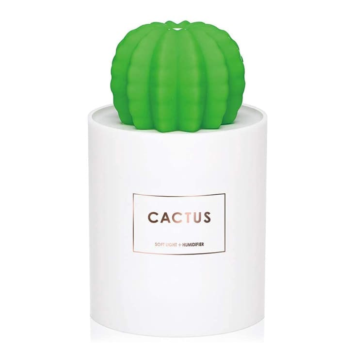 The Best Personal Humidifiers 2022 Desk, Nightstand, Tabletop