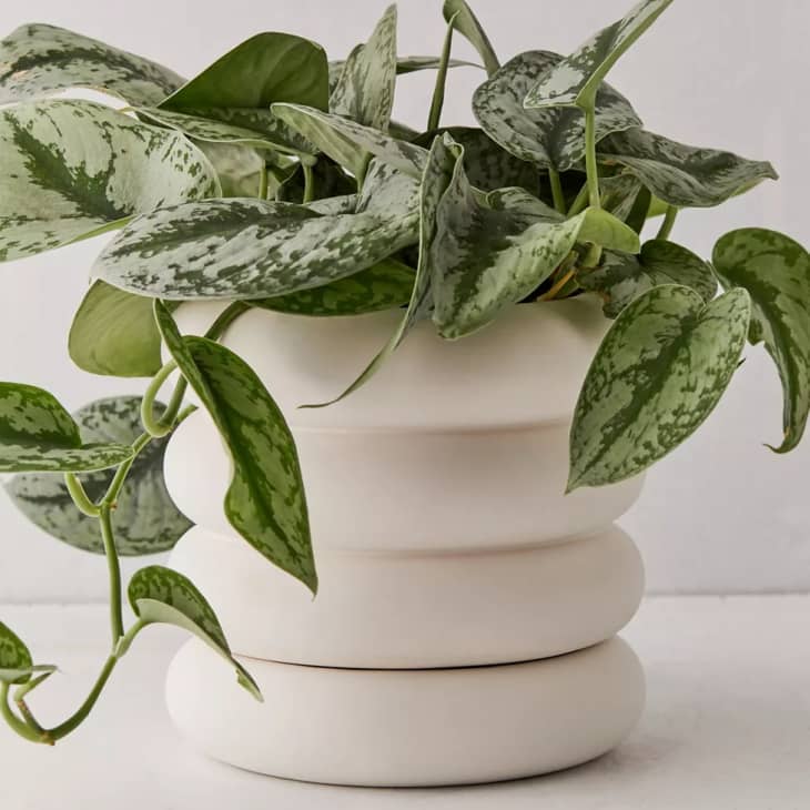 15 Best Places to Buy Planters Online in 2024 Apartment Therapy