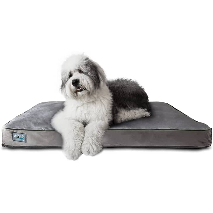 The Best Stylish Dog Beds of 2021 Apartment Therapy