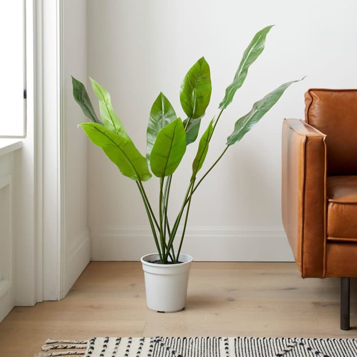 West Elm Faux Plant Sale February 2022 Apartment Therapy