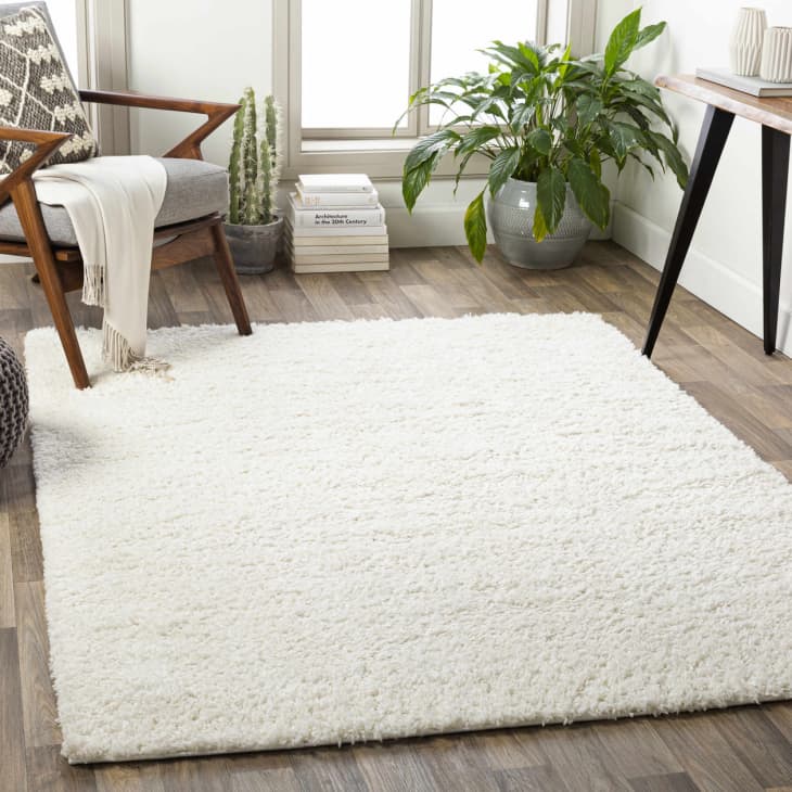 Boutique Rugs Presidents Day Sale 2022: Save 65% Off a Range of Styles ...