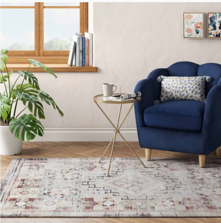 10 Best Rugs Under 100 Target, Wayfair, Overstock Apartment Therapy