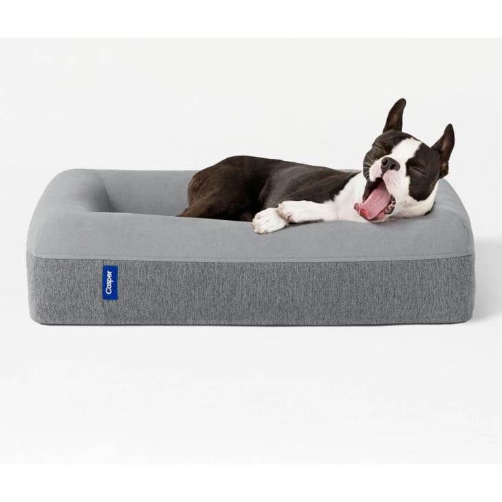 Don t Miss This Deal on the Comfiest Dog Bed of the Year Apartment Therapy