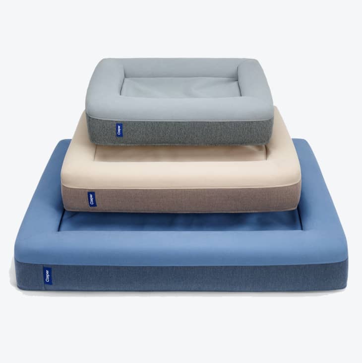 Nordstrom HalfYearly Sale December 2021 Living Room Finds Apartment