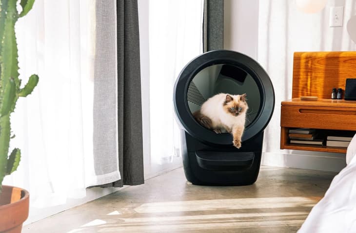 Little robot clearance cat litter box