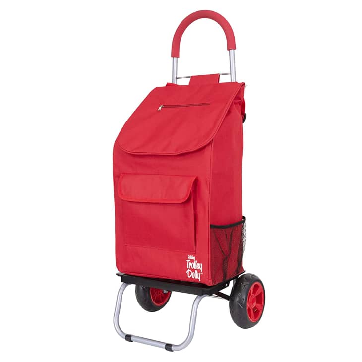 7 Best Foldable Shopping Carts 2022 Apartment Therapy