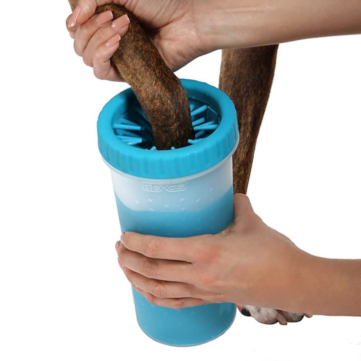 15 Best TopRated Amazon Pet Products 2021 Apartment Therapy