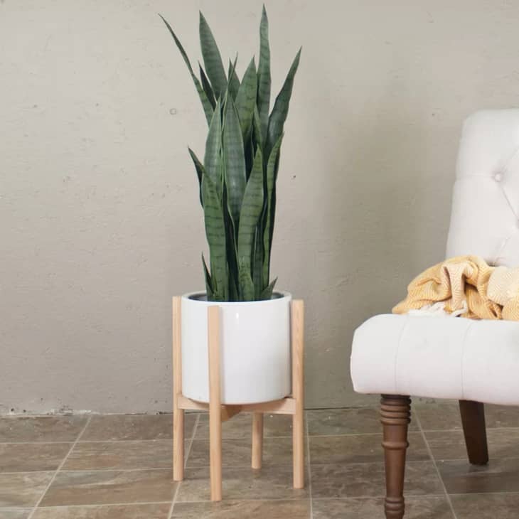 15 Best Places to Buy Planters Online 2023 Jungalow, Terrain, Home