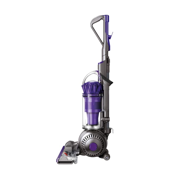 dyson ball animal best price