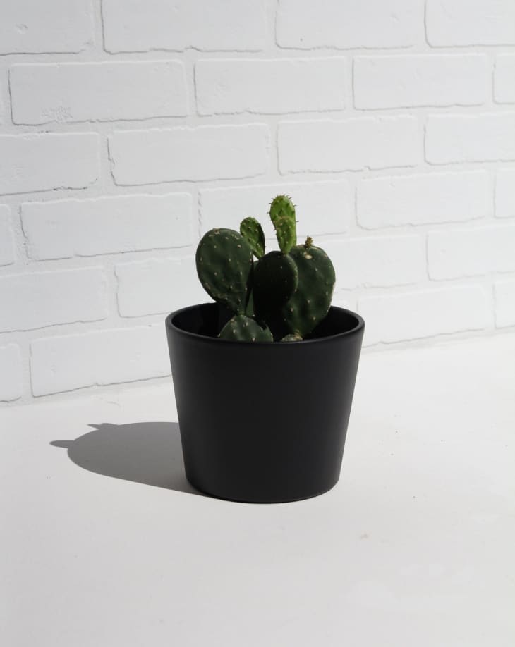 Black Terracotta Pots, Planters, and Vases Apartment Therapy