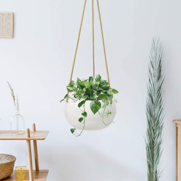 8 Best Stylish Indoor Hanging Planters 2022 | Apartment Therapy