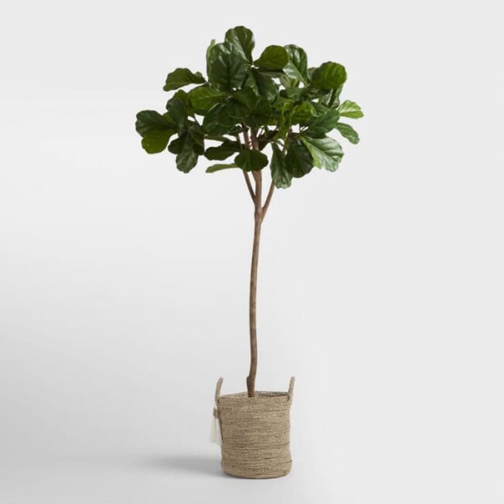 The Best Faux Fiddle Leaf Fig Tree Apartment Therapy