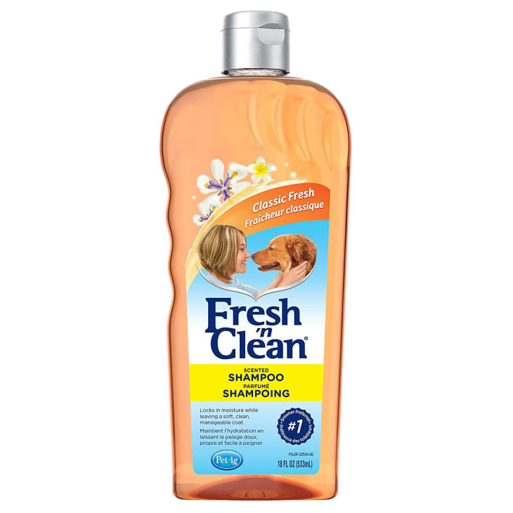 12 Best Pet Shampoos 2021 — Deshedding, Medicated, Sensitive Skin