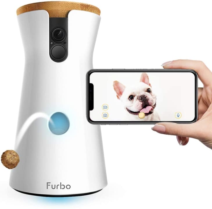 Dog camera outlet treat dispenser amazon