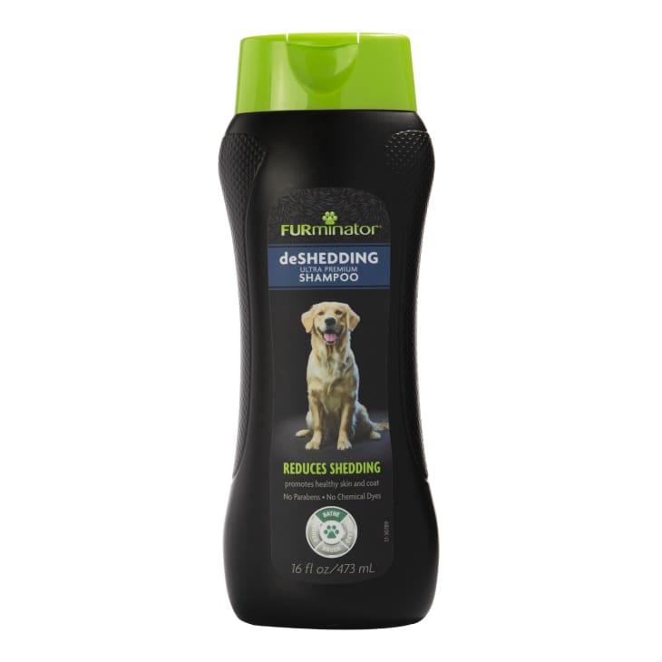 Best Products For Dog Shedding Apartment Therapy