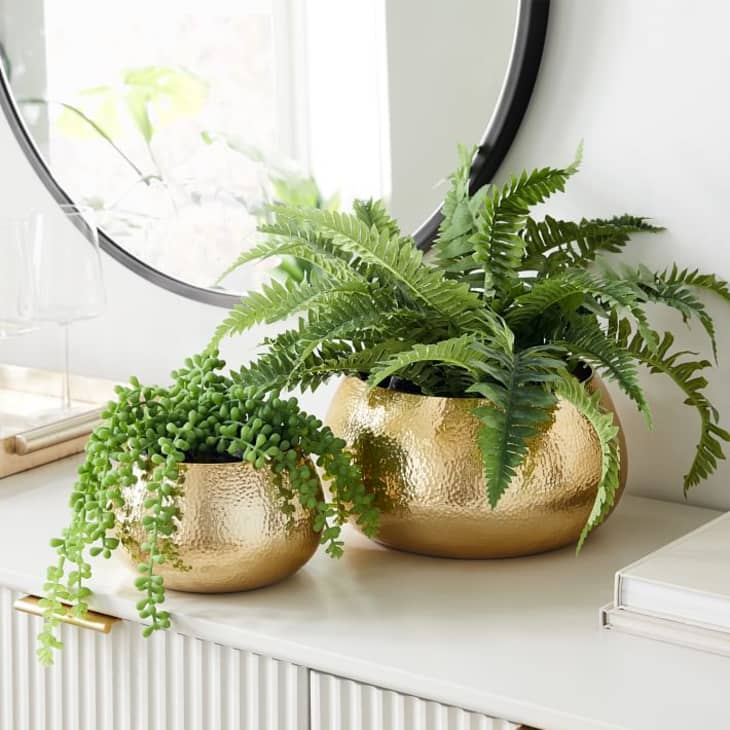 10 Cheap & Stylish Houseplant Pots 2023 Apartment Therapy