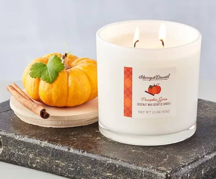 Harry and David Launched a Scentsational Candle Collection For Fall
