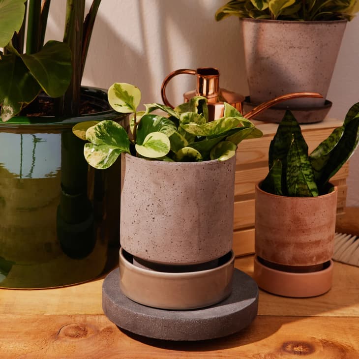 15 Best Places to Buy Planters Online in 2024 Apartment Therapy