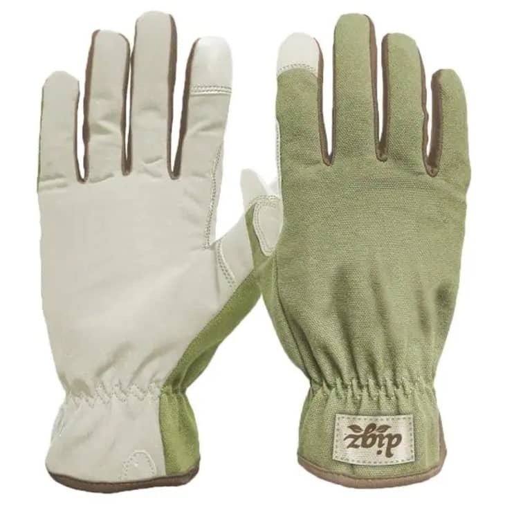 Apartment Therapy Editor Picks What to Buy This Week Apartment Therapy