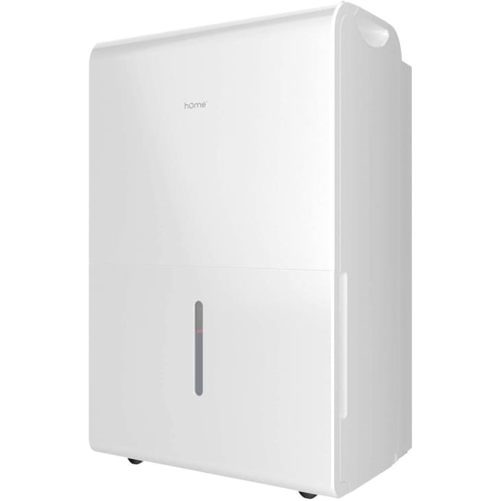 9 Best Dehumidifiers for Every Budget 2021 Apartment Therapy
