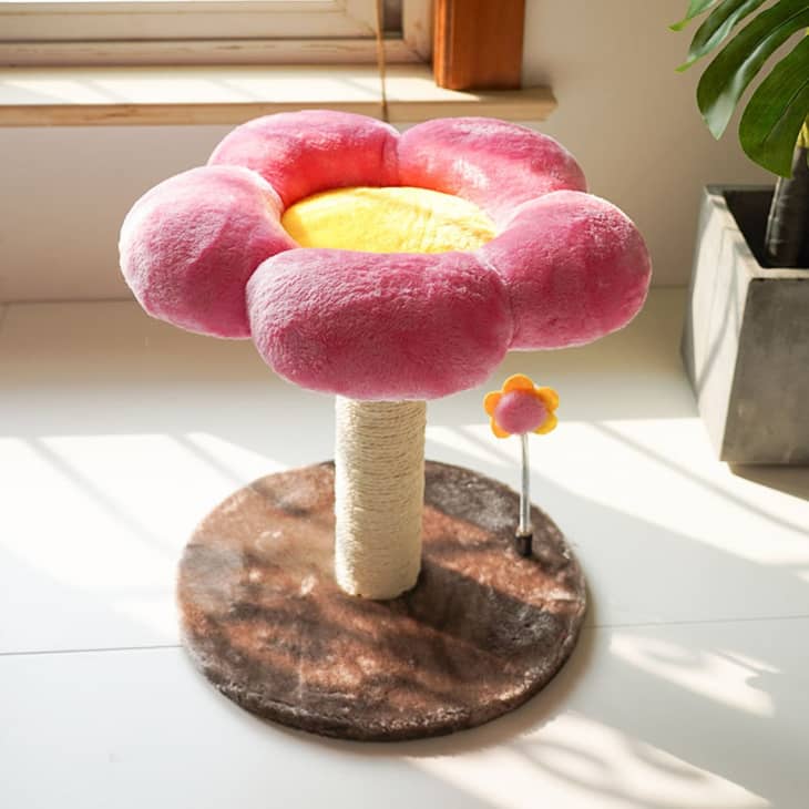 Cute cat tree top