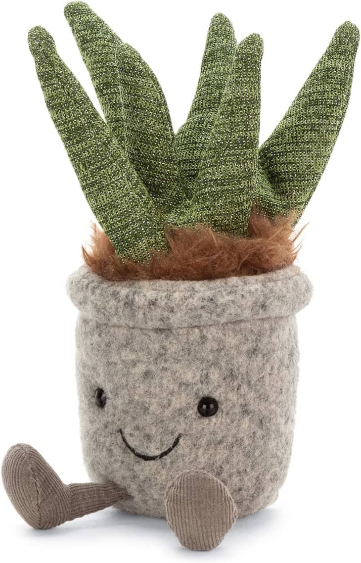 jellycat silly succulent aloe