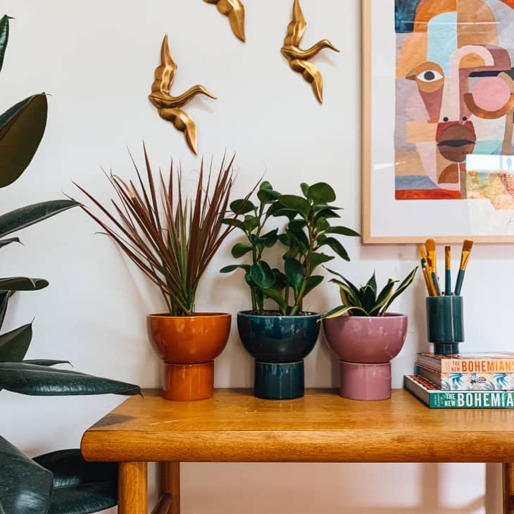 15 Best Places to Buy Planters Online in 2024 Apartment Therapy