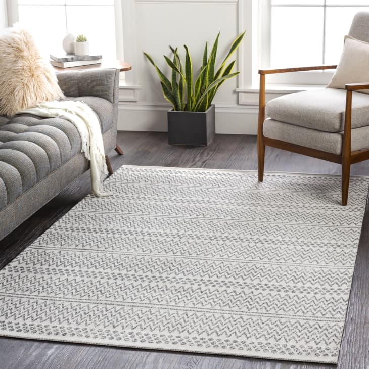 Unique Apartment Therapy Area Rugs for Small Space