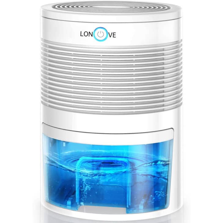 9 Best Dehumidifiers for Every Budget 2021 Apartment Therapy