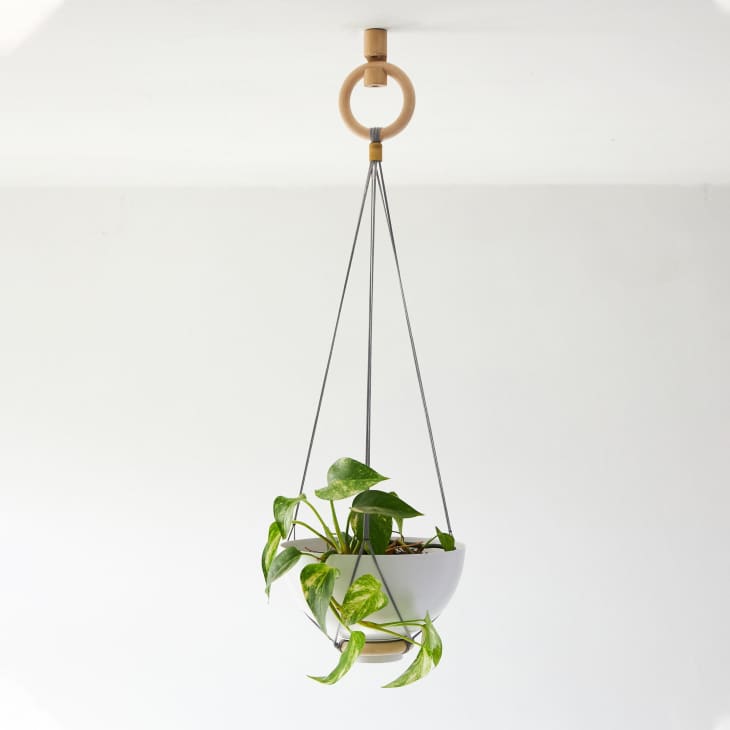 8 Best Stylish Indoor Hanging Planters 2022 Apartment Therapy