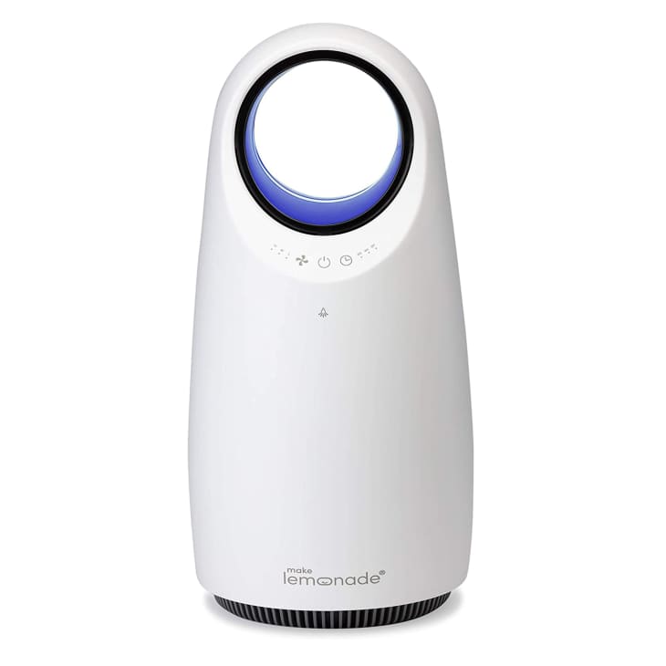Best Cheap Air Purifiers Apartment Therapy